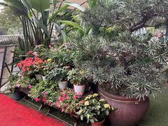 -山水茶艺馆·点心粤菜·30年老字号