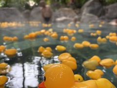 -湖泉半山温泉(湖泉生态园)