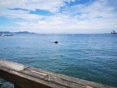 -青岛第二海水浴场