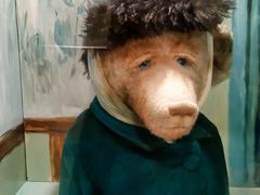 -济州岛泰迪熊博物馆