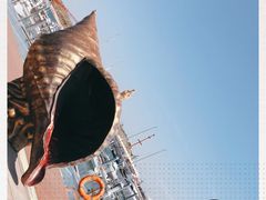 -中华人民共和国水准零点