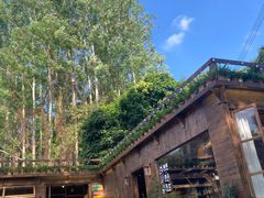 -广州白江湖森林公园