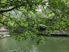 -湖洞水自然风景区