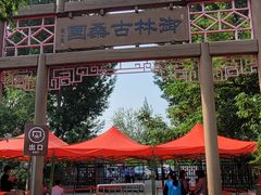 -御林古桑园