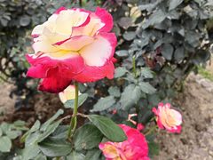 -人民公园(罗湖区)