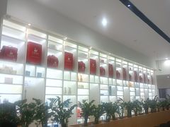 -天鹅到家·保姆月嫂育儿嫂(总店)