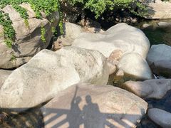-崂山九水游览区
