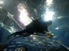 -上海海洋水族馆-停车场