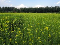 -长春公园(普阳街道)