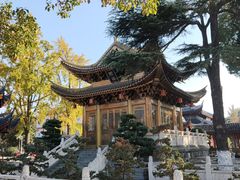-上海东林寺(金山区)