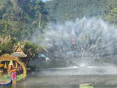 -西双版纳原始森林公园