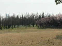 -白金汉爵大酒店(相城店)