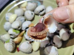 生腌血蛤-胡须佬鸡煲四季火锅(海雅缤纷城店)