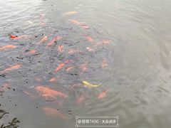 -阿育王寺