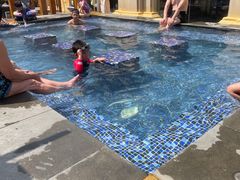 -京津新城温德姆至尊酒店(珠江大道店)