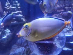 -成都浩海立方海洋公园