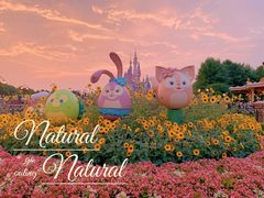 -上海迪士尼度假区