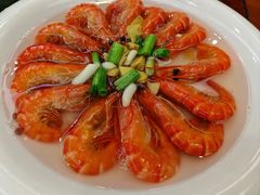 -丁老爷子苏香圆