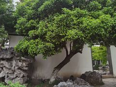 -常熟方塔园