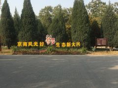 -大兴滨河森林公园