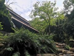 -融汇温泉