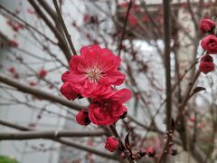 -复兴门(地铁站)