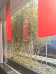 -爱儿美儿童摄影(朝阳公园店)