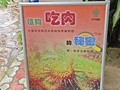 -西双版纳傣族园