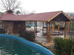 -金孔雀温泉旅游度假村