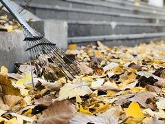 -遵化市禅林寺古银杏风景园