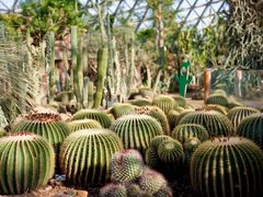 -上海辰山植物园