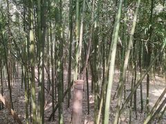 -同里国家湿地公园