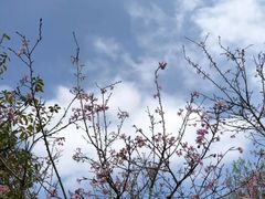 -聚龙山公园