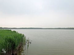 -西青郊野公园