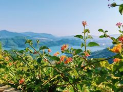 -求水山公园