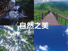 -驼梁风景区