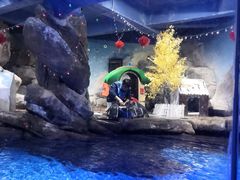 -合肥海洋世界