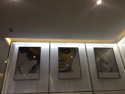 -崇尚GAVIN STYLE臻选