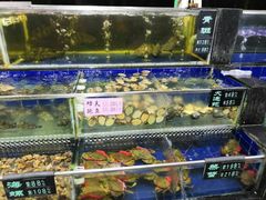 水产区-勝記酒家·37年老字号·经典粤菜(荔枝公园店)