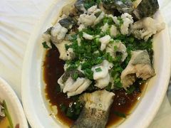 清蒸石斑鱼-梁溪河畔·吉府花园(南长街南下塘店)