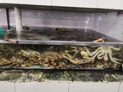 -京深海鲜市场(光彩路店)