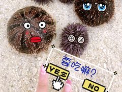-塞尔夫岛