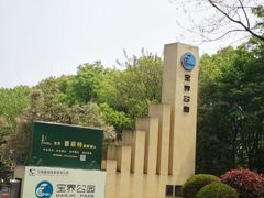 -宝界山林公园