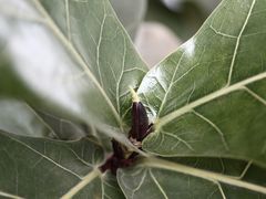 -隹木咖啡馆(宝龙广场店)