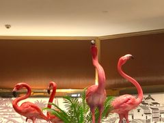 -常州武进九洲喜来登酒店