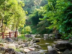 -广州白江湖森林公园