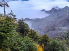 -鲁山国家森林公园