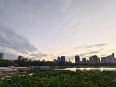 -莲花池公园