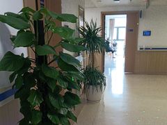 -上海市第四人民医院