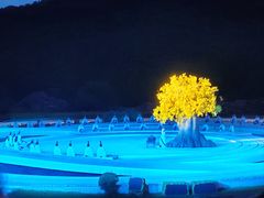 -鼎盛王朝康熙大典实景演出